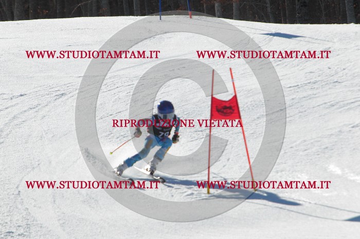 MAT_2260.JPG