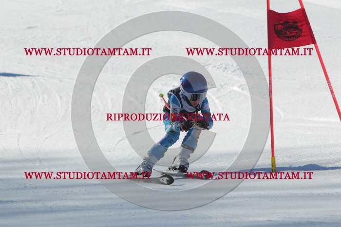MAT_2264.JPG