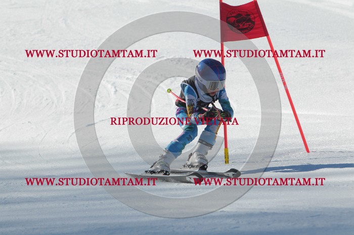 MAT_2265.JPG