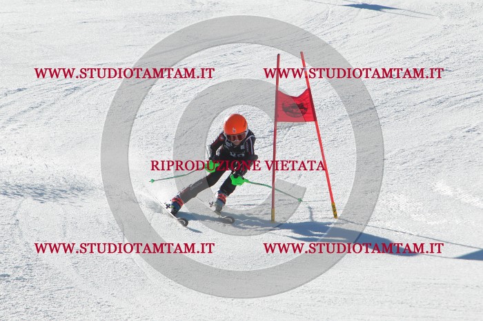 MAT_2271.JPG