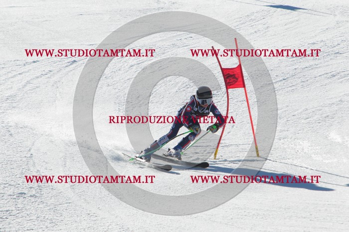 MAT_2282.JPG