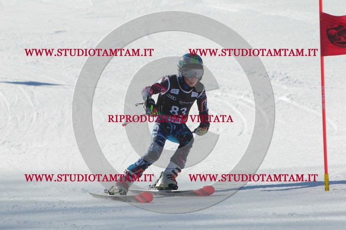 MAT_2305.JPG