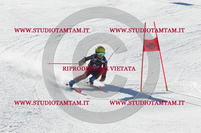 MAT_2311.JPG