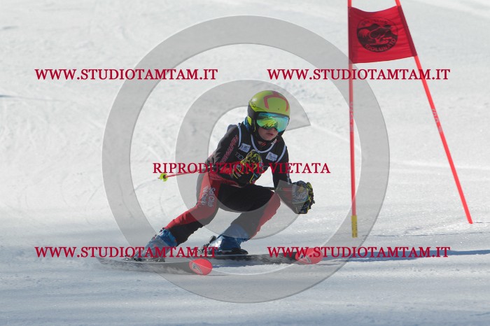 MAT_2315.JPG