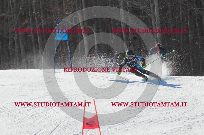 MAT_2319.JPG
