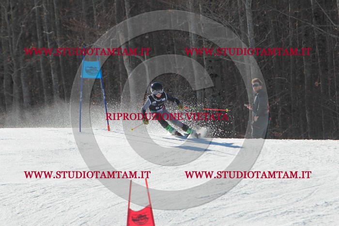 MAT_2329.JPG