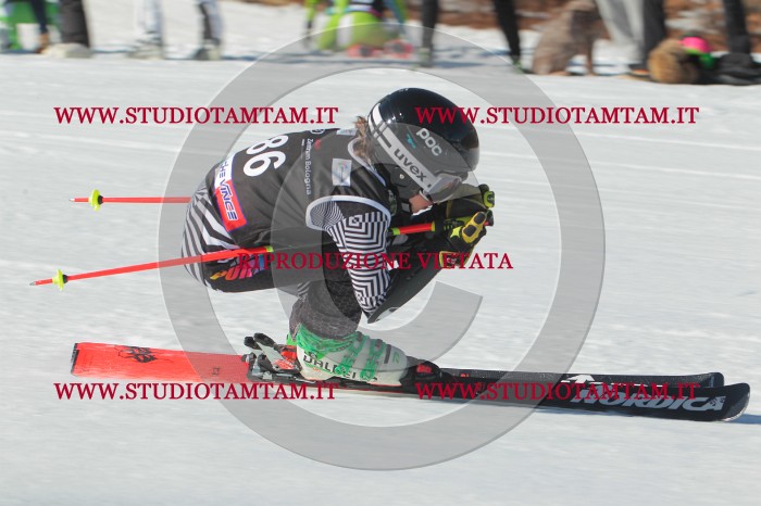 MAT_2339.JPG