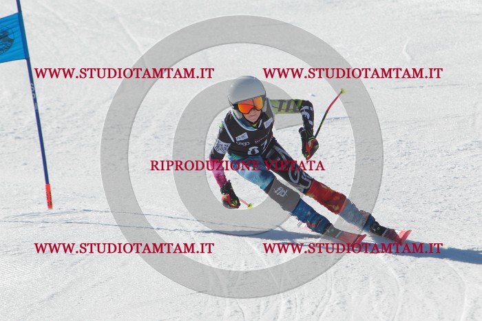 MAT_2347.JPG