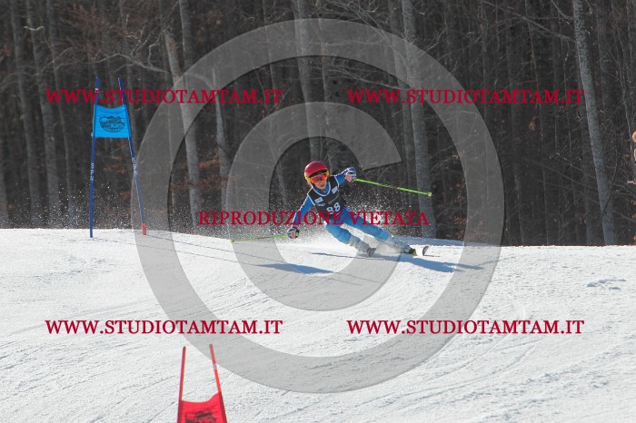 MAT_2353.JPG