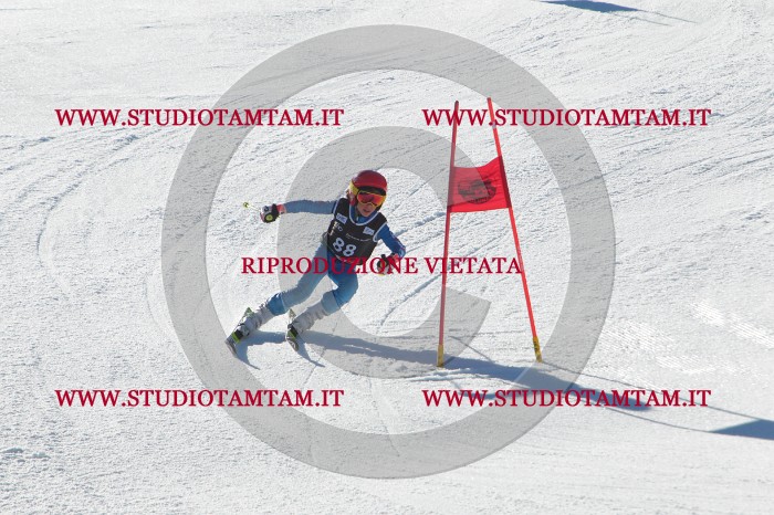 MAT_2354.JPG
