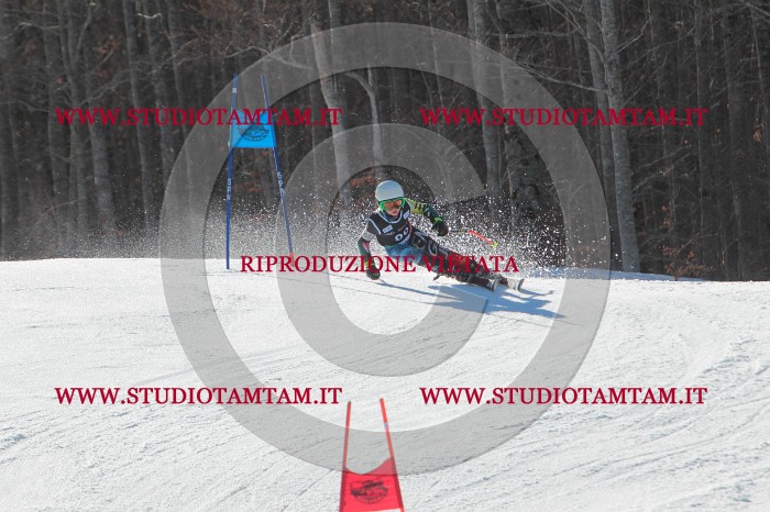 MAT_2363.JPG