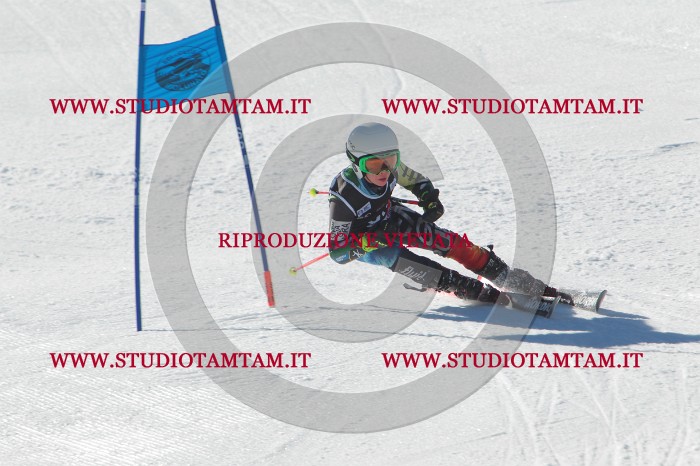 MAT_2367.JPG