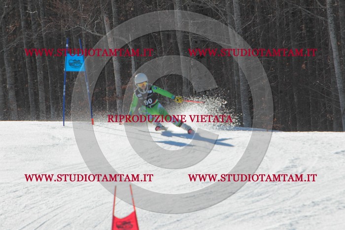 MAT_2372.JPG