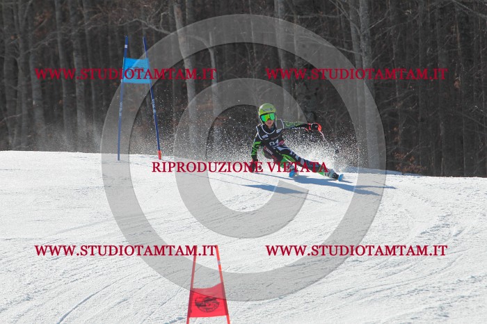 MAT_2383.JPG