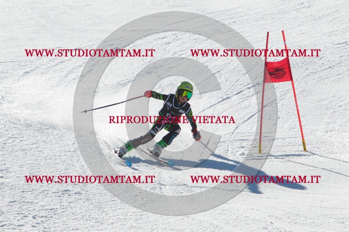 MAT_2385.JPG