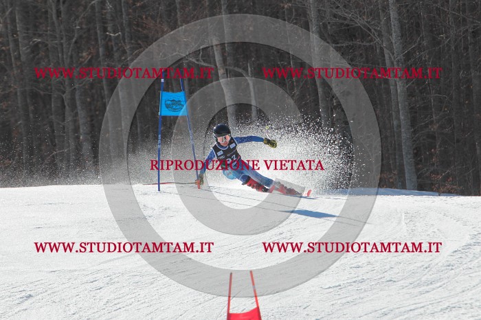 MAT_2392.JPG