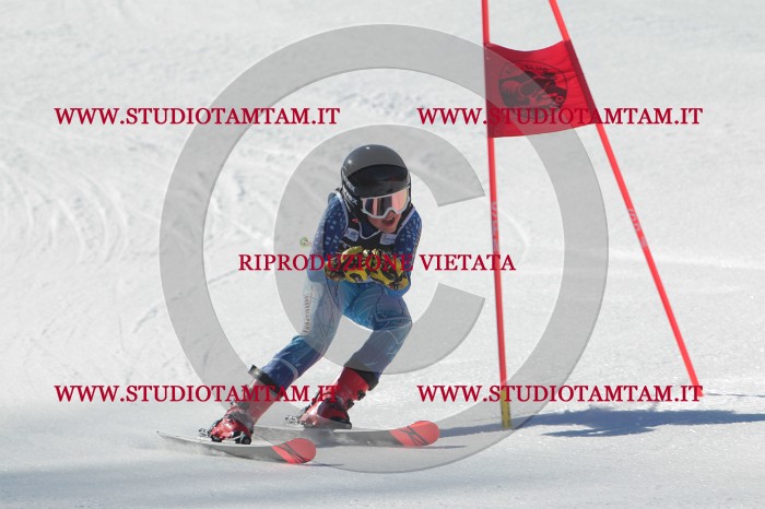 MAT_2398.JPG