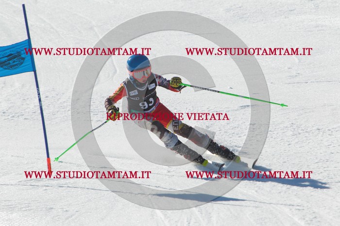 MAT_2407.JPG