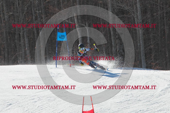 MAT_2413.JPG