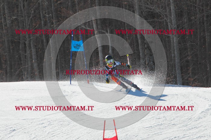 MAT_2414.JPG