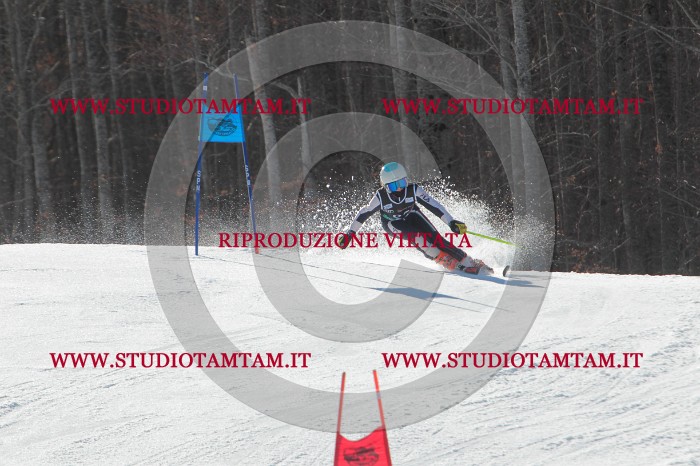 MAT_2431.JPG
