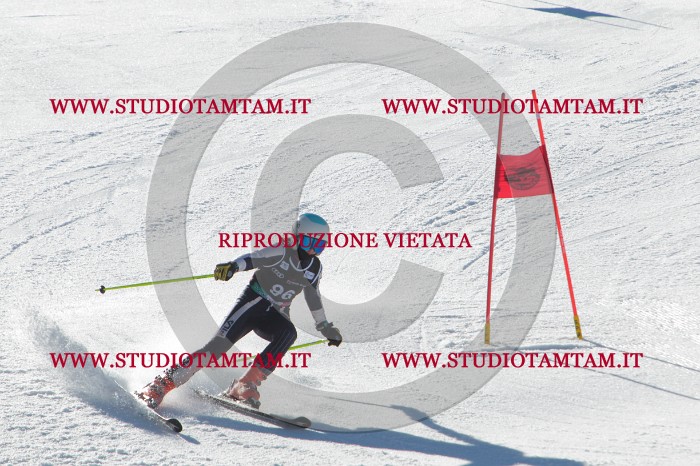 MAT_2433.JPG