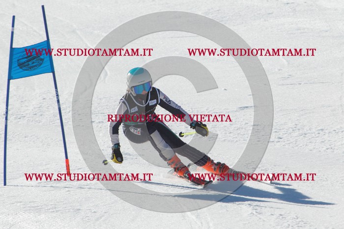 MAT_2435.JPG