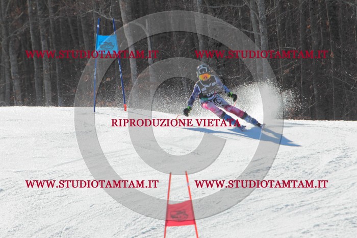 MAT_2450.JPG