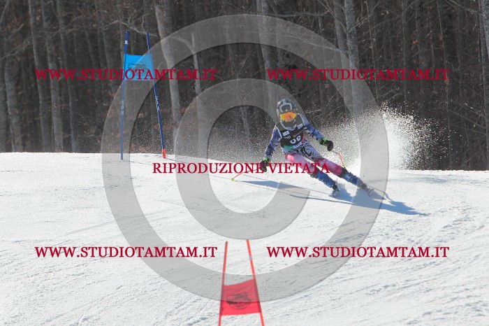 MAT_2451.JPG