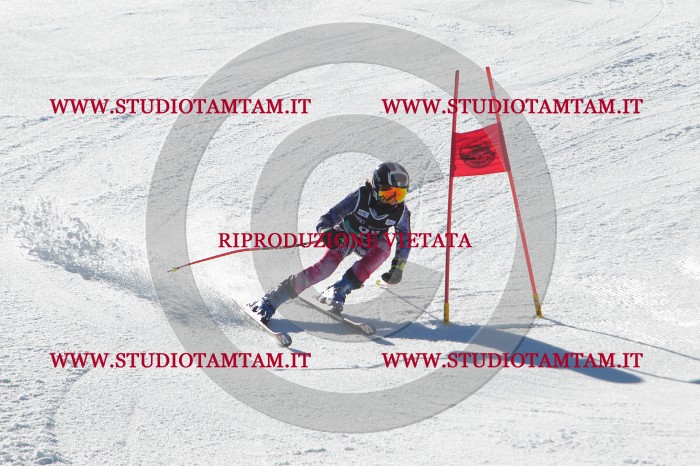 MAT_2453.JPG