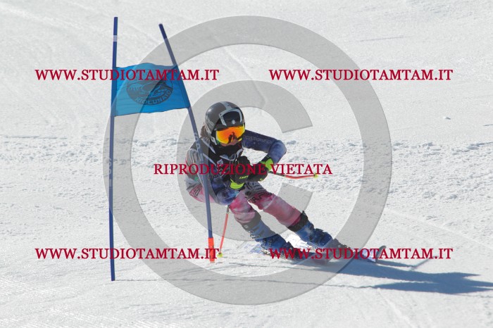 MAT_2455.JPG