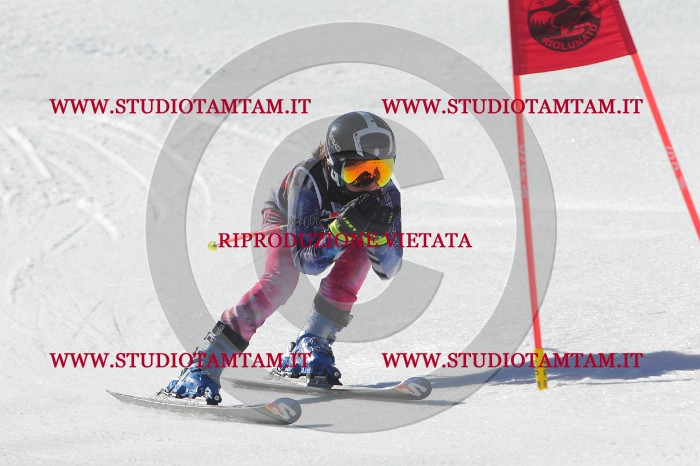 MAT_2456.JPG
