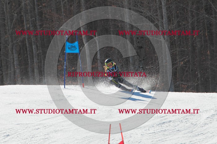 MAT_2460.JPG