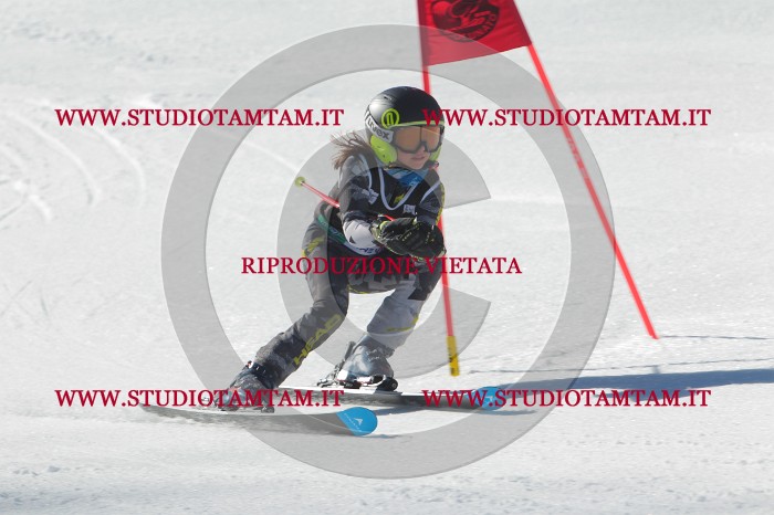 MAT_2465.JPG