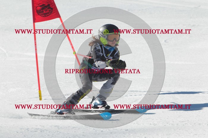 MAT_2466.JPG