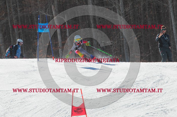 MAT_2469.JPG