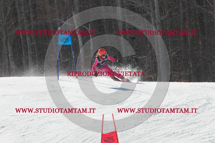 MAT_2479.JPG