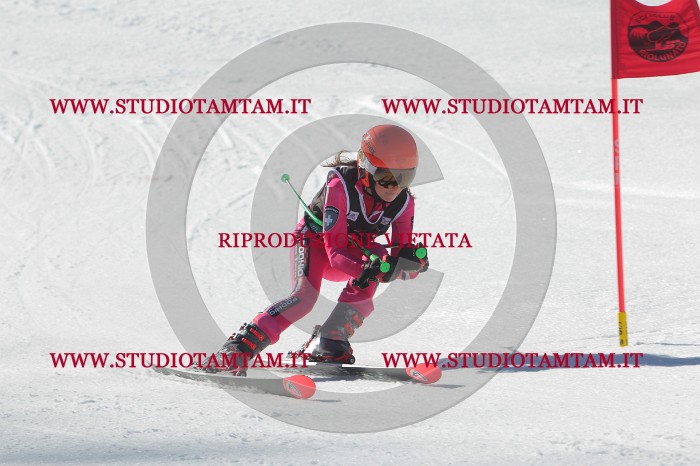 MAT_2485.JPG