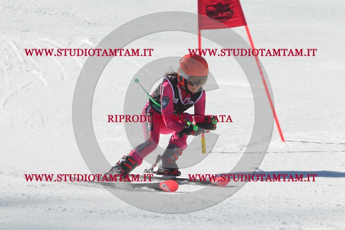 MAT_2486.JPG
