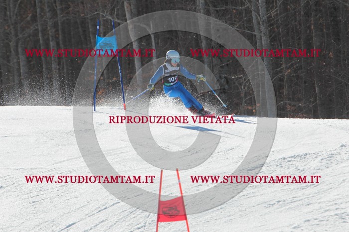 MAT_2489.JPG