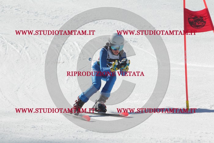 MAT_2495.JPG