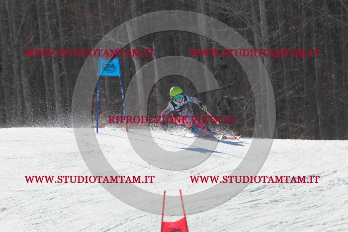 MAT_2509.JPG