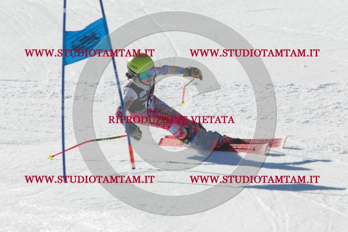 MAT_2513.JPG