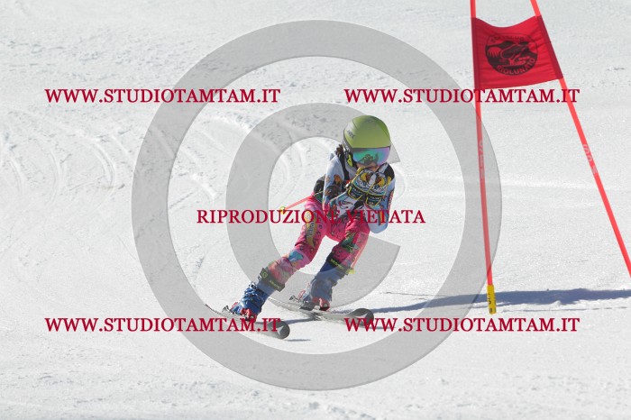 MAT_2515.JPG