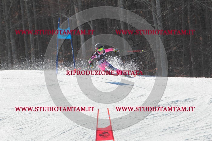MAT_2519.JPG