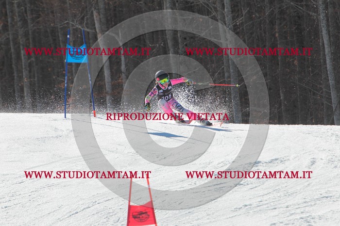 MAT_2520.JPG