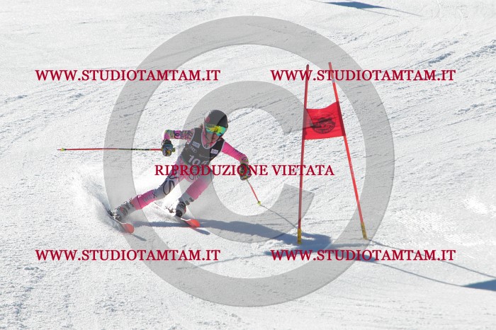 MAT_2521.JPG