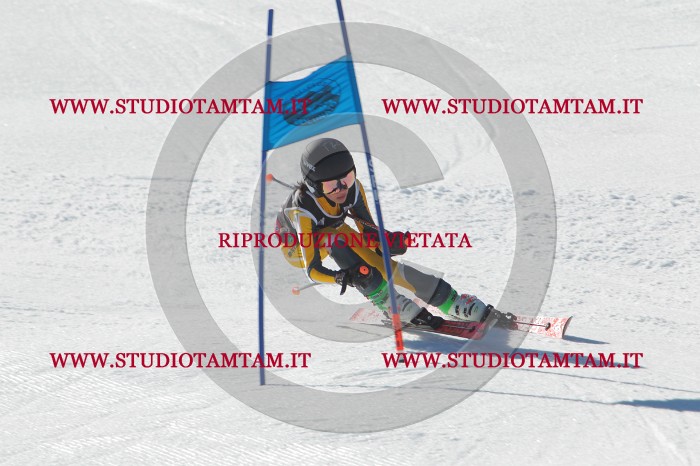 MAT_2533.JPG