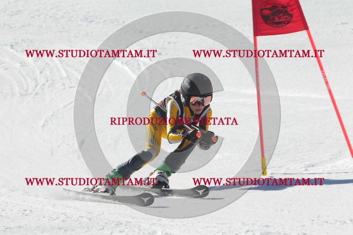 MAT_2535.JPG