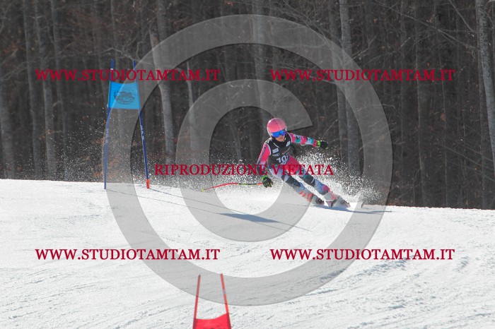 MAT_2540.JPG